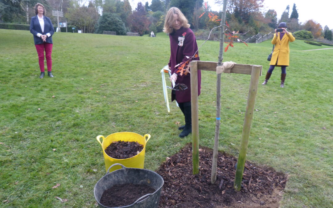 Tree Planting for Tunbridge Wells Soroptimists