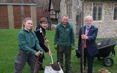 Queen’s Green Canopy Tree Planting in Maidstone