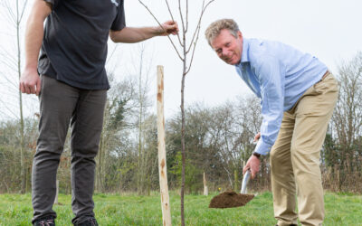Shepherd Neame and Queen’s Green Canopy